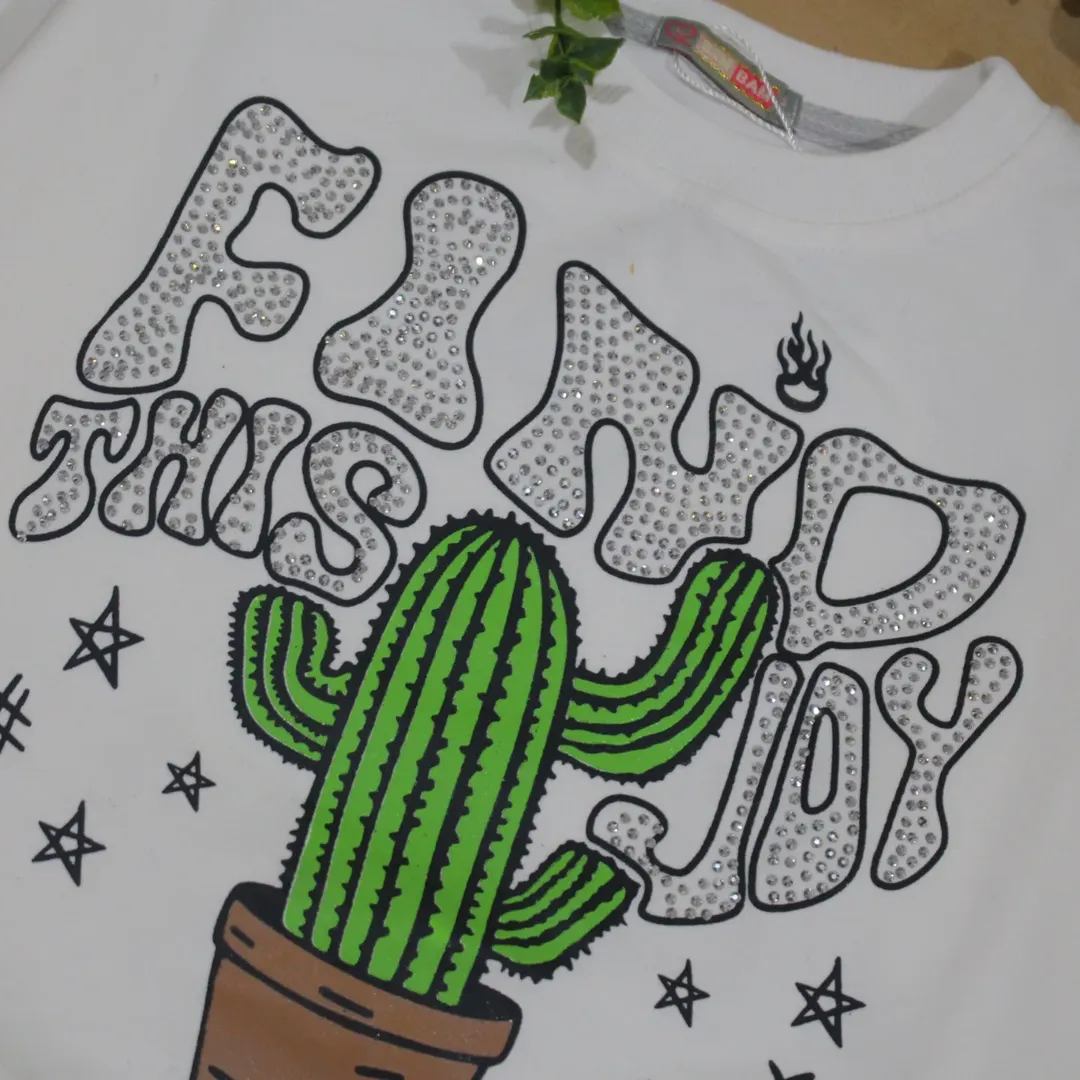 هودی بیرونی